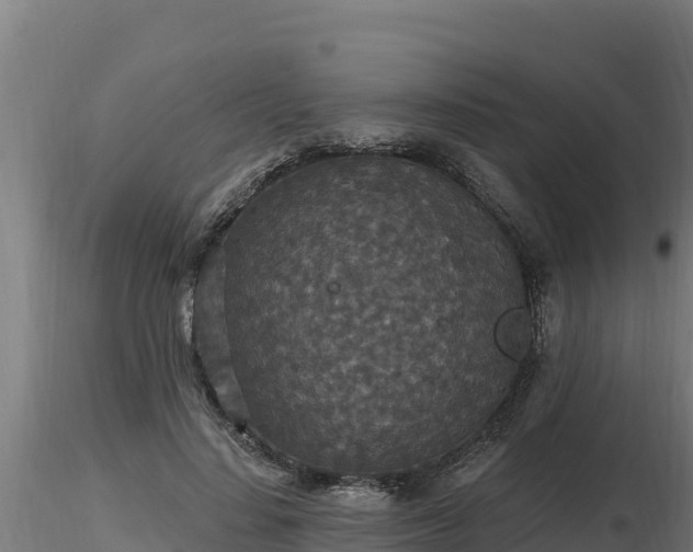 X0000116770644200912241204