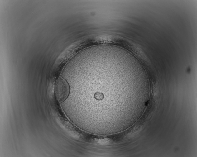X0000116770645200912241204