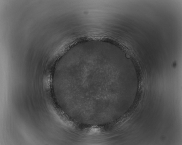 X0000116770647200912241204