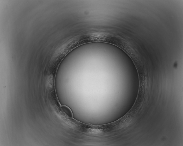 X0000116770649200912241204