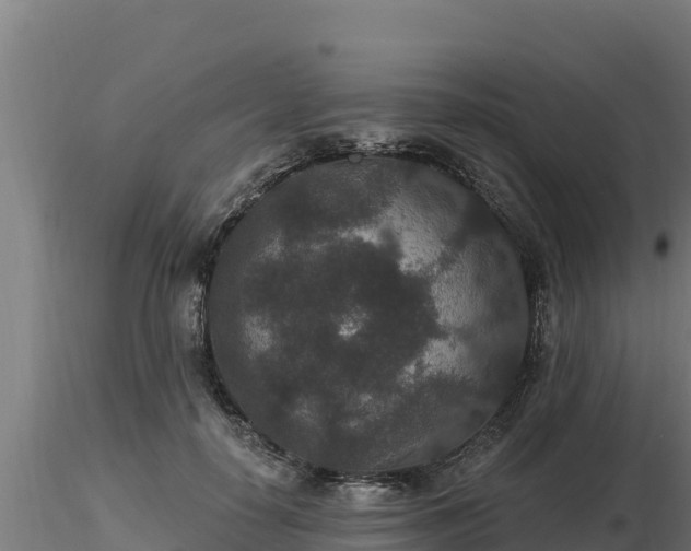 X0000116770650200912241204