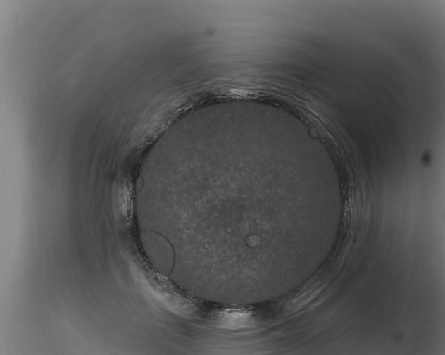 X0000116770651200912241204