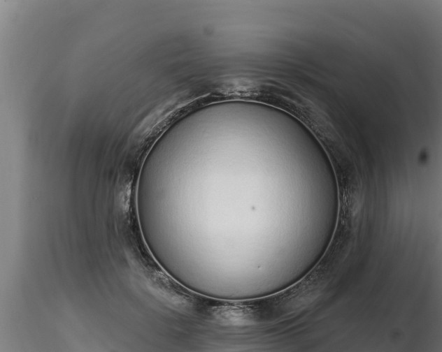 X0000116770652200912241204