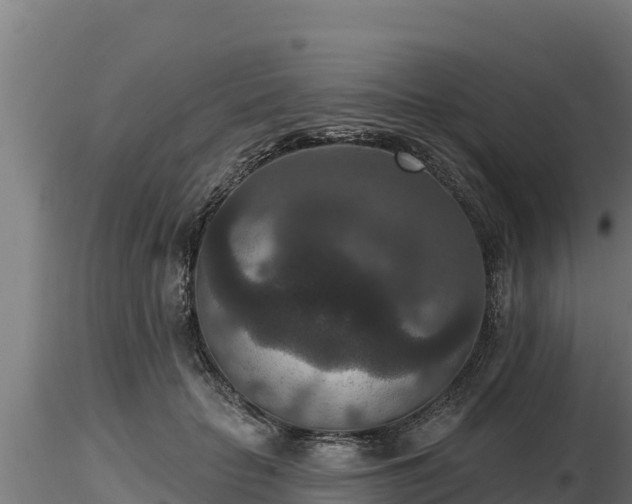 X0000116770653200912241204