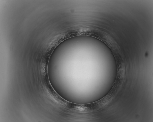 X0000116770654200912241204