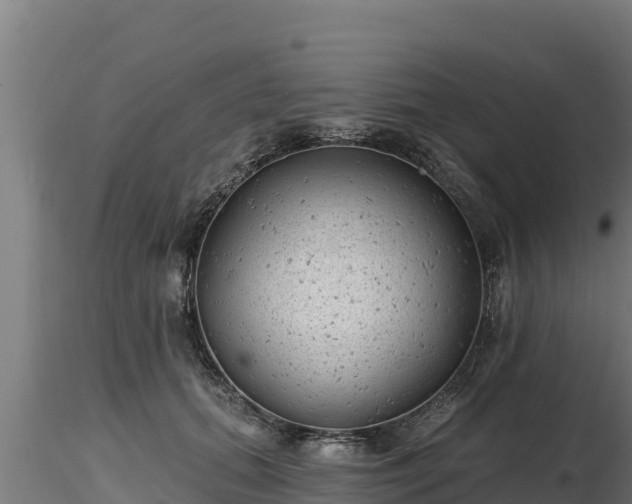 X0000116770655200912241204