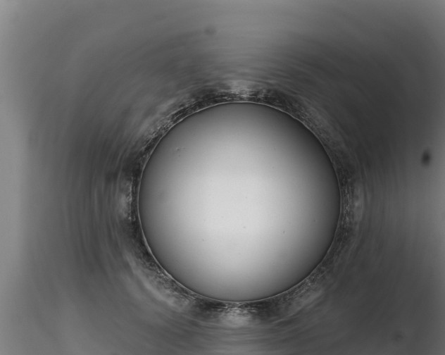 X0000116770656200912241204