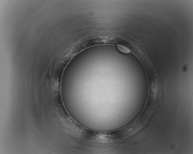 X0000116770657200912241204