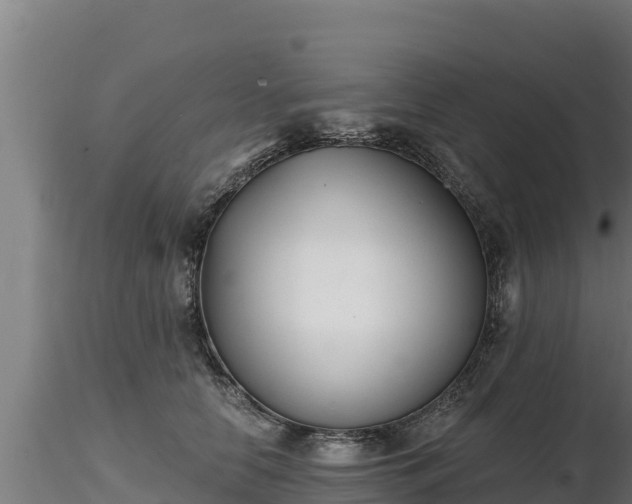 X0000116770658200912241204