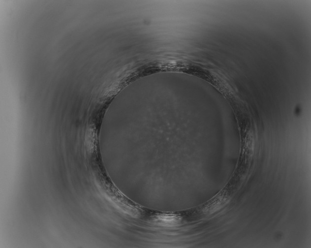 X0000116770659200912241204