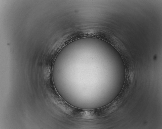 X0000116770660200912241204