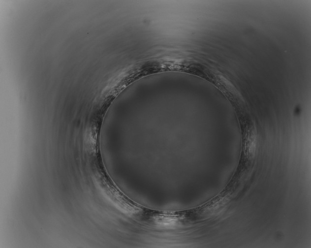 X0000116770661200912241204