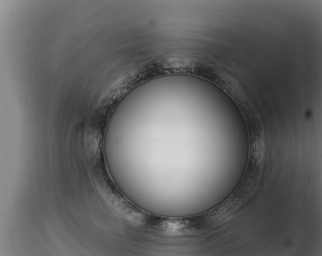 X0000116770662200912241204