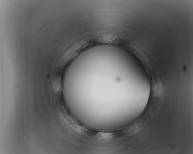 X0000116770665200912241204