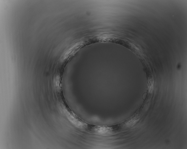 X0000116770670200912241204