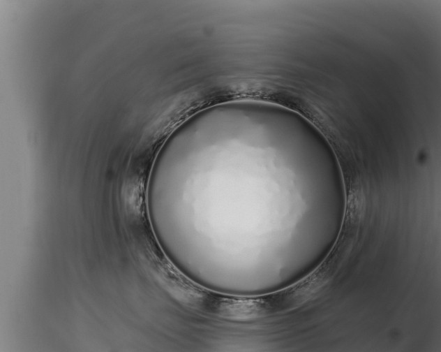 X0000116770671200912241204