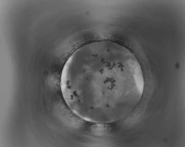 X0000116770672200912241205