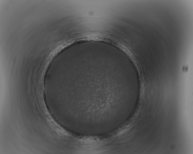 X0000116770673200912241204