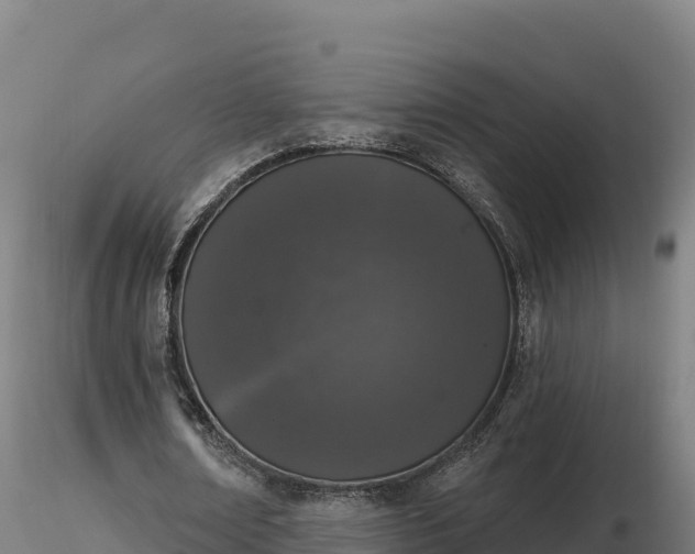 X0000116770674200912241204
