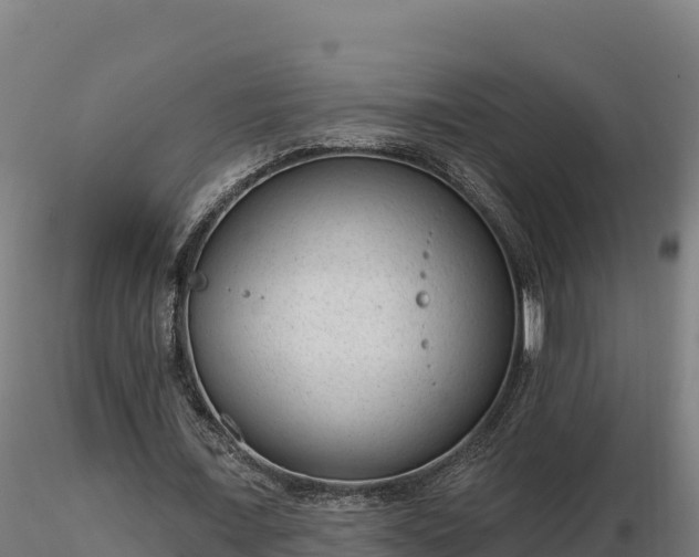 X0000116770675200912241204