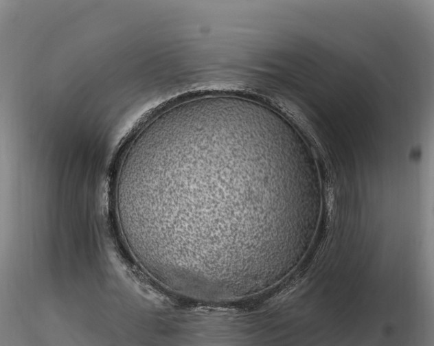 X0000116770676200912241204