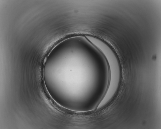 X0000116770677200912241204