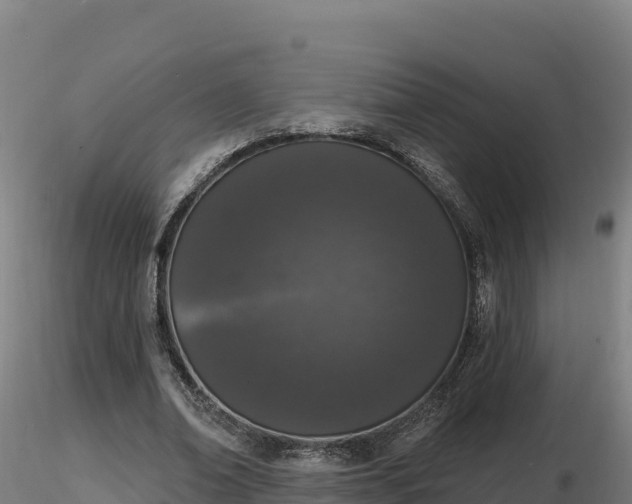 X0000116770678200912241204
