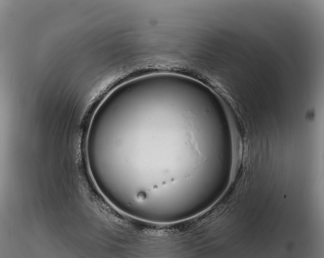 X0000116770679200912241204
