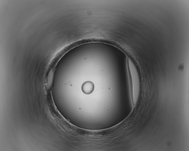 X0000116770680200912241204
