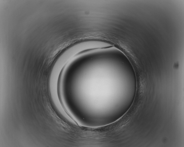 X0000116770681200912241204