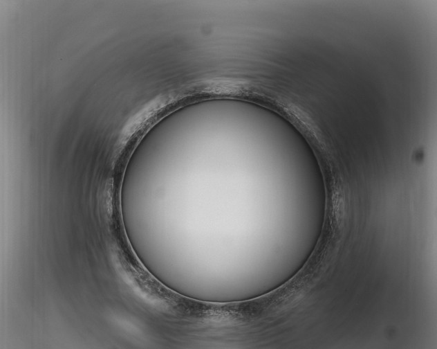 X0000116770682200912241204