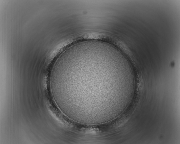 X0000116770683200912241204