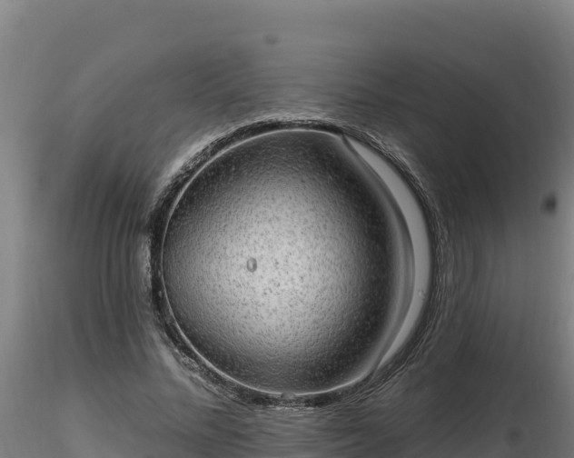 X0000116770684200912241204