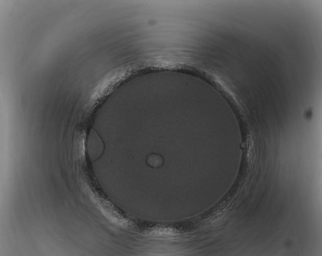 X0000116770685200912241204