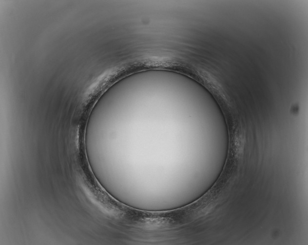 X0000116770686200912241204