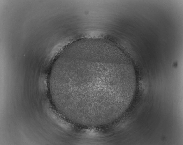 X0000116770688200912241204