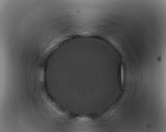 X0000116770689200912241204