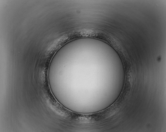 X0000116770690200912241204