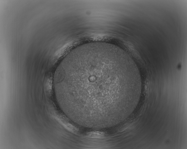 X0000116770691200912241204