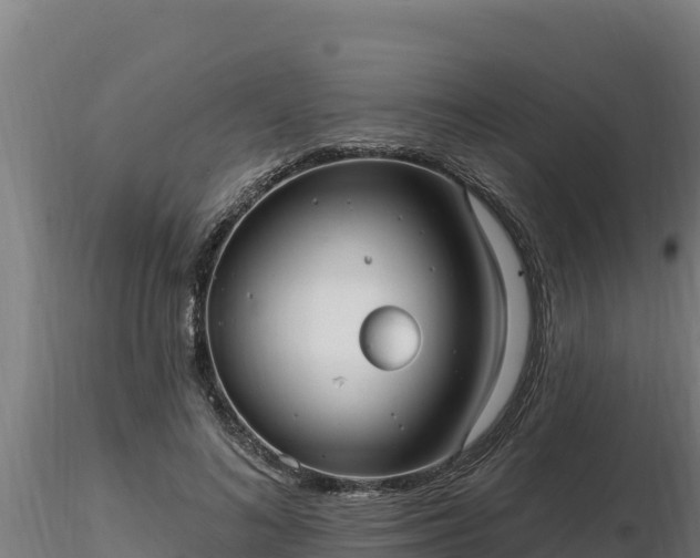X0000116770692200912241204
