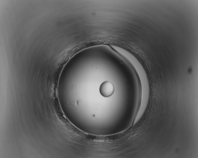 X0000116770693200912241204