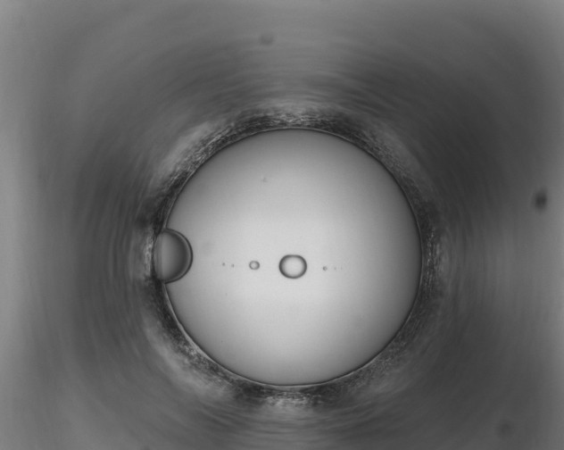 X0000116770694200912241204
