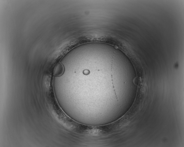 X0000116770695200912241204