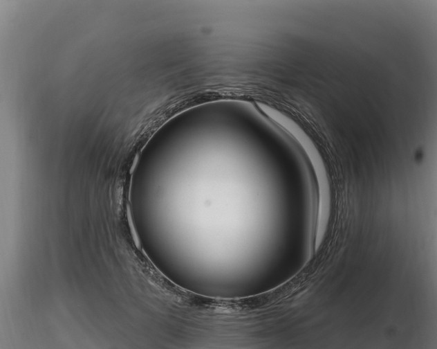 X0000116770697200912241204