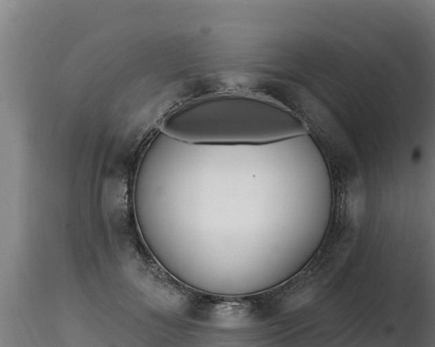 X0000116770700200912241203