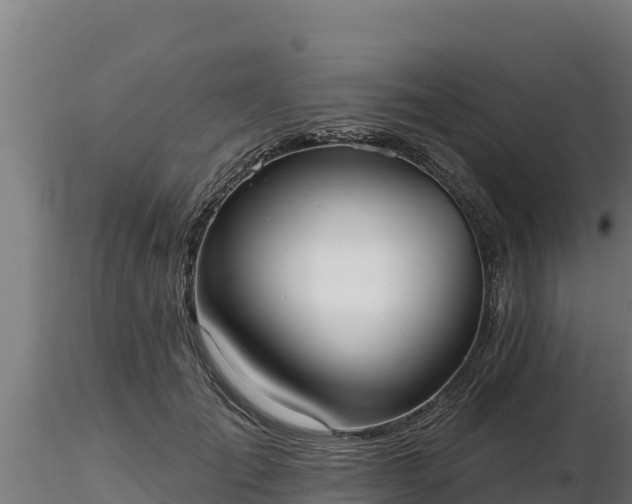 X0000116770701200912241203