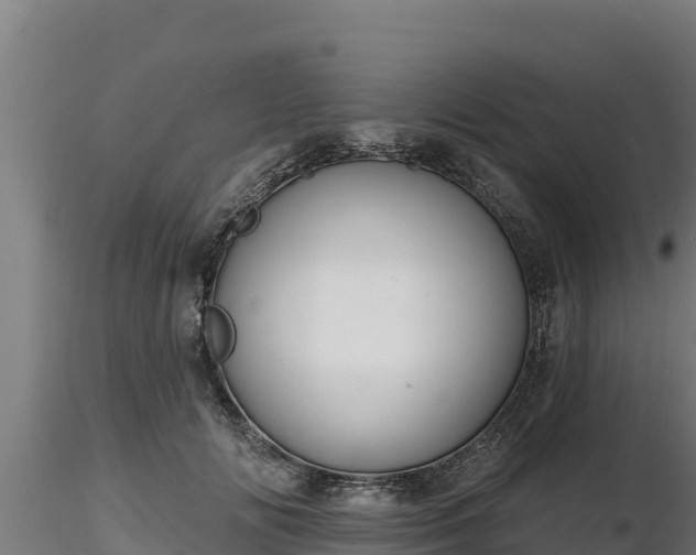 X0000116770702200912241203