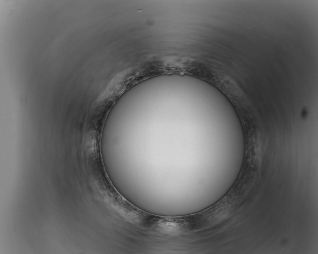 X0000116770706200912241203