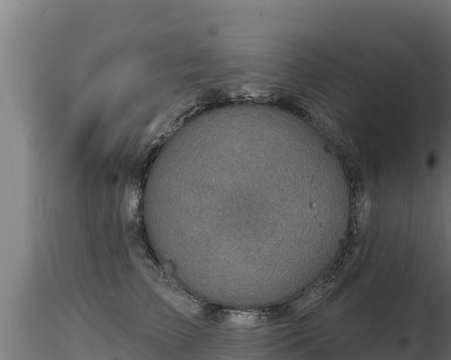 X0000116770709200912241203