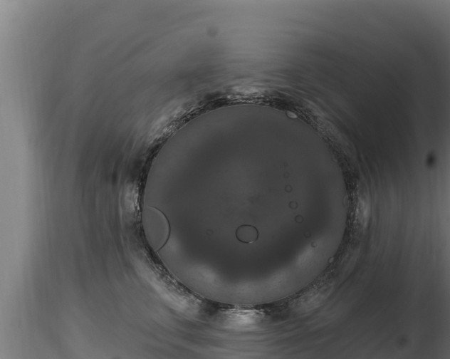 X0000116770711200912241203